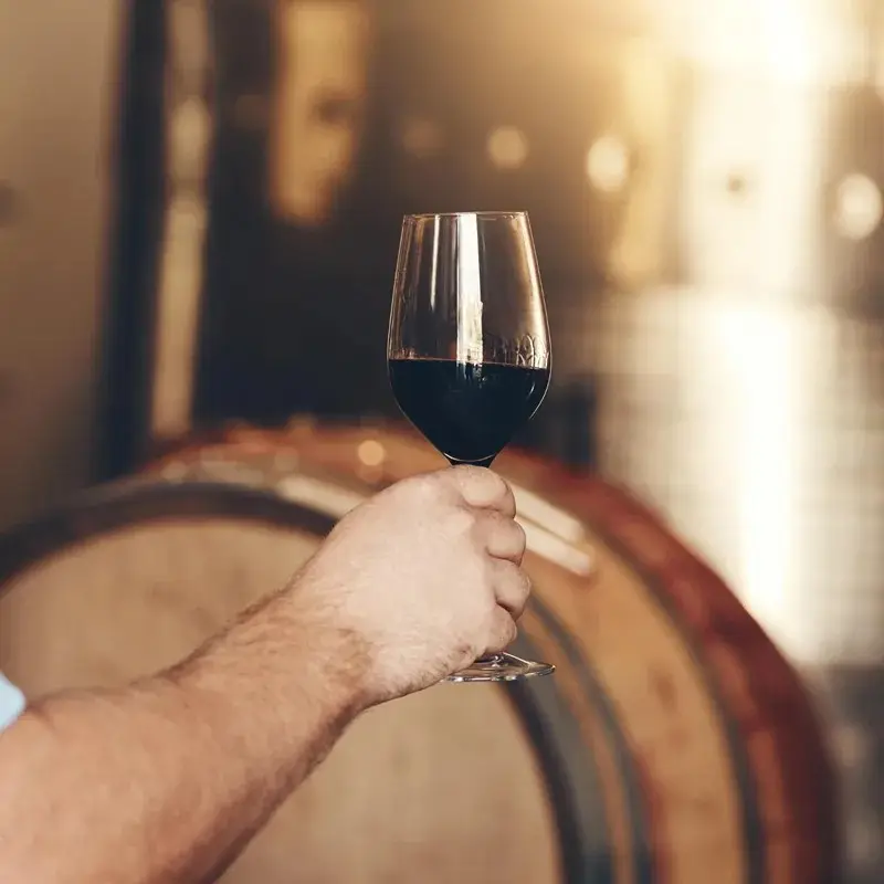 blueberry wine type